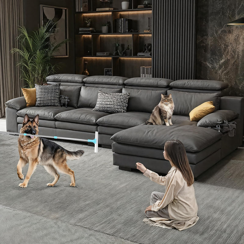 Carpet Rake for Pet Hair Removal, 54-Inch Adjustable Handle, Aluminum Alloy Deep Cleaner, Reusable Cat & Dog Hair Remover for Couches, Rugs, Mats, Fabric Furniture - PawsPlanet Australia