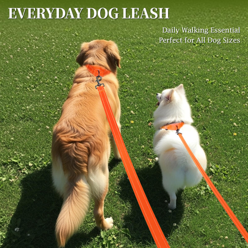 VIVAGLORY Dog Leash Dailyx Pet Leash with Soft Padded Handle for Training & Walking, Heavy Duty & Double Layer Nylon for Pet Puppy, 6ft x 1in, Orange Leash (6 ft. x 1 in.) - PawsPlanet Australia