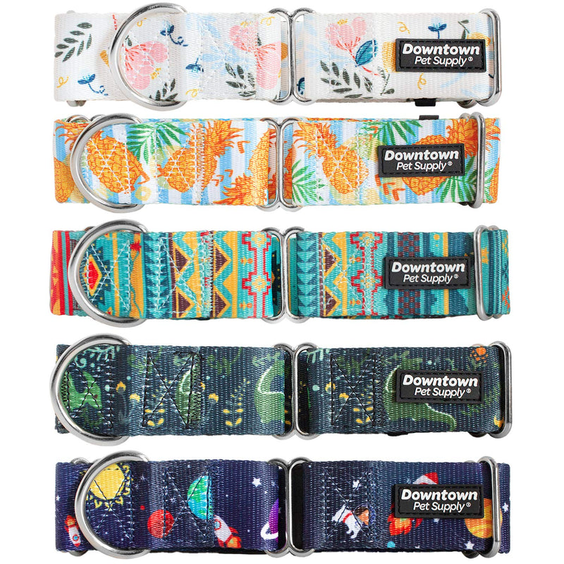 Downtown Pet Supply - Martingale Collar for Dogs - Dog Training Collar - Big, Wide & Thick Dog Collar - Escape-Proof, Weatherproof, Durable and Comfortable - Floral - Medium Dog Collar Medium: 11"-20"