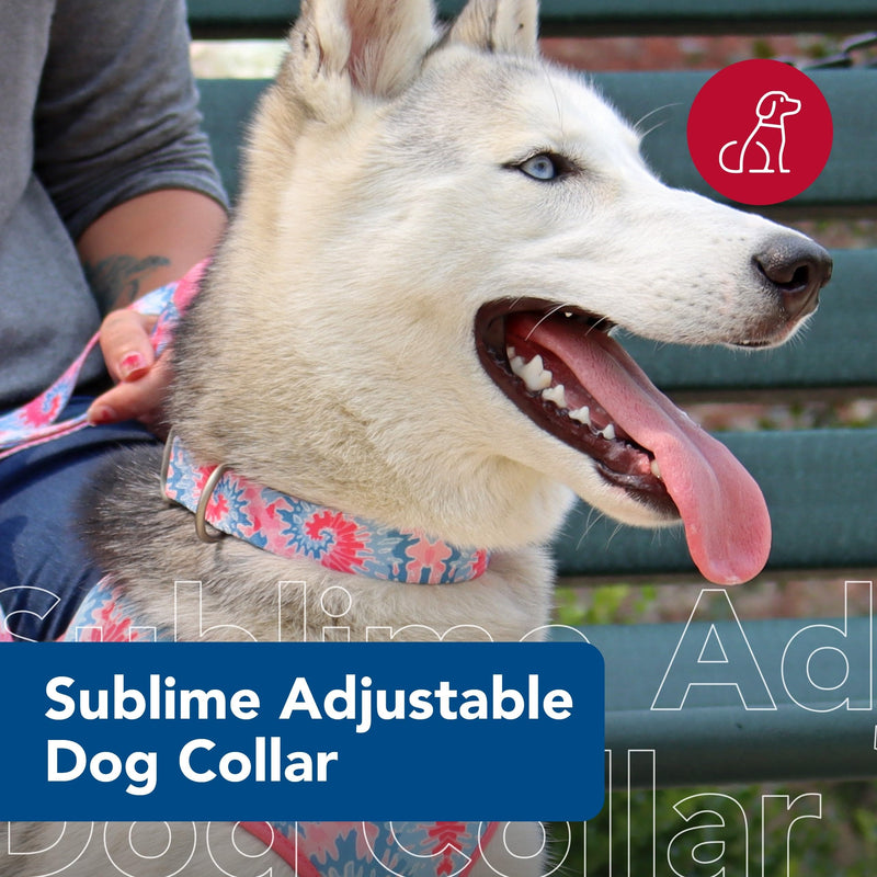 Coastal Pet Sublime Adjustable Dog Collar - Adjustable Plastic Buckle - Vibrant & Colorful Dog Collar with Fade-Resistant Patterns - Pink Tie Dye with Pink Arrows, Medium - 1" x 12"-18" Medium - 1" x 12"-18" (Pack of 1) - PawsPlanet Australia