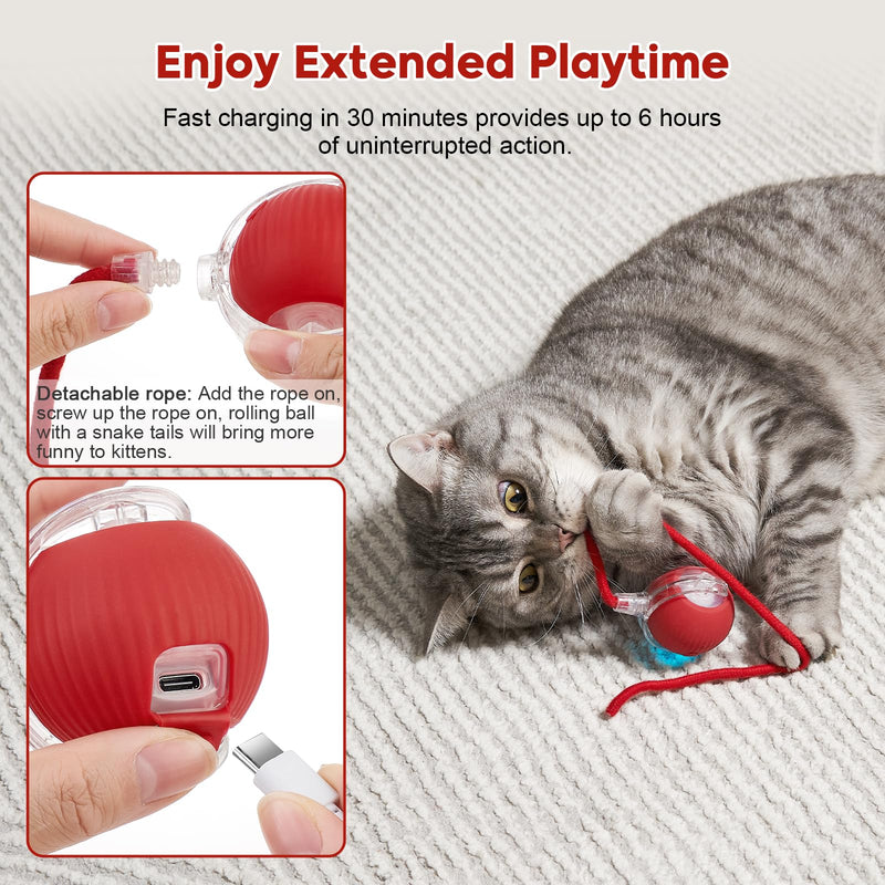 Interactive Cat Toy, Interactive Dog Toy, Electric Automatic Rolling Moving Toys, Self Activated Play Smart Rolling Ball for Cats & Dogs, Chase Teaser Pet Ball for Bored Indoor Cats/Kittens/Dogs - PawsPlanet Australia
