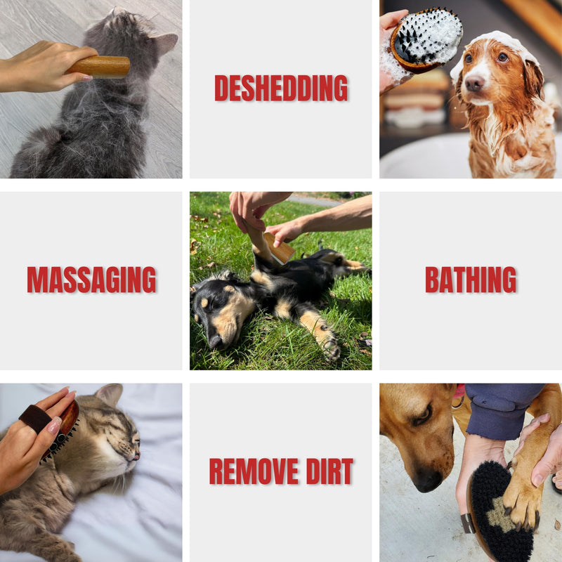 Wooden Pet Grooming Kit for Short-Haired & Double-Coated Dogs Cats Horses- Includes Bristle Brush, Massage Brush & Deshedding Brush -Dog Brush for Shedding - Best Deshedding Comb in Shedding Season - PawsPlanet Australia