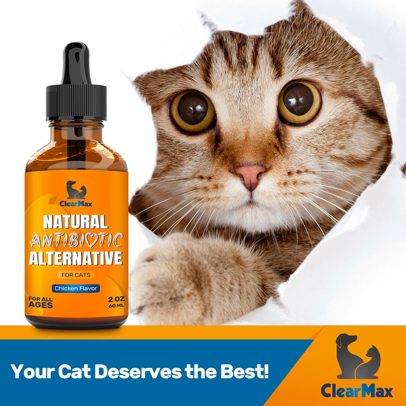 Antibiotics for Cats ◆ Cat Antibiotic ◆ Natural Antibiotics for Cats ◆ Cat Antibiotics ◆ Antibiotic for Cats ◆ Cat Multivitamin ◆ Pet Antibiotic ◆ 2 Oz 2 Fl Oz - PawsPlanet Australia
