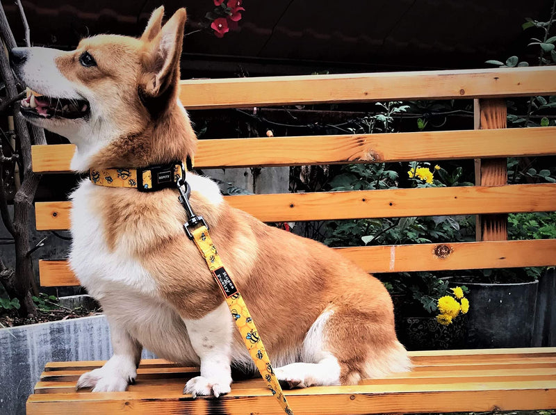 Roses&Poetry Dog Collar with Colourful Bee Patterns, Adjustable Durable Puppy Collars for Small Medium Large Dogs (Bee-L) L Golden - PawsPlanet Australia