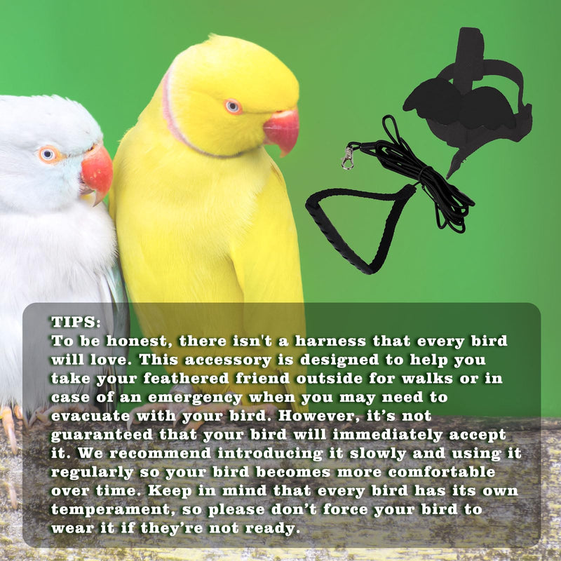 Adjustable Bird Leashes and Harnesses, Bird Nylon Harness with Cute Wing for Parrots, Pet Bird Accessories, Bird Leash for Hang Out, Suitable for Cockatiel, Quaker, Amazon Parrot and Same Size Birds Black - PawsPlanet Australia
