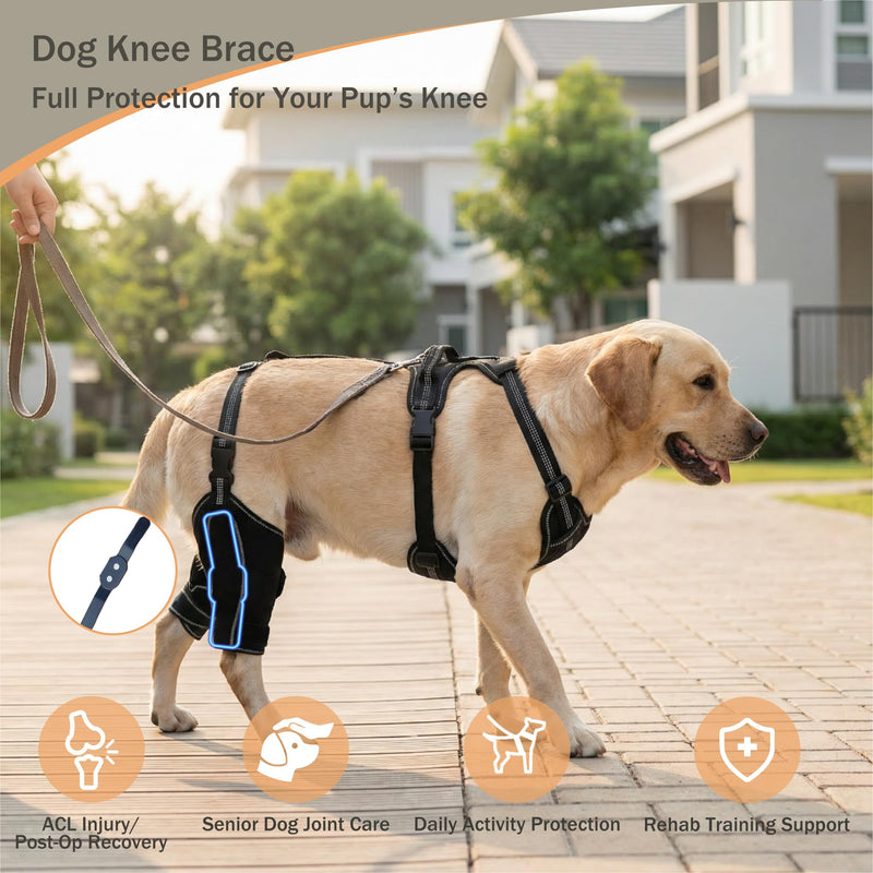 Dog Rear Leg Brace, Adjustable Hind Leg Splint Support for Torn ACL CCL, Luxating Patella & Hip Dysplasia, Breathable Non Slip Recovery Wrap for Medium Large Dogs M