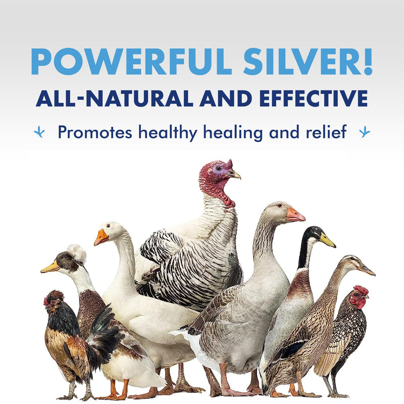 PetSilver Wound Spray Chicken & Bird Formula with Patented Chelated Silver, Healing Aid for Pecking Sores, Bumble Foot, Cuts, Wounds, Burns, and Skin Irritations, Chicken Care, Made in USA, 12 fl. oz.