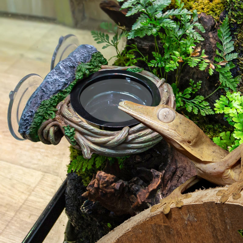 REPTI ZOO Crested Gecko Feeding Ledge, Reptile Water Food Dish for Bearded Dragon Lizard Snake Turtle, Vine Reptile Feeder Bowl Terrarium Tank Decor Accessories Single Feeder - PawsPlanet Australia