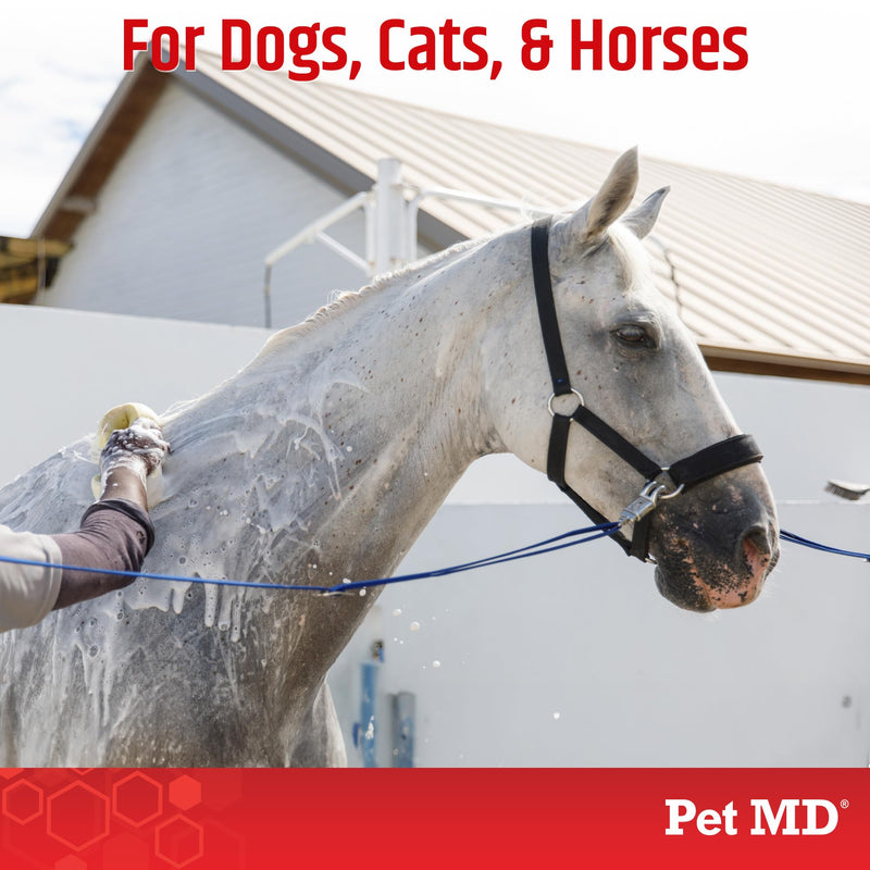 Pet MD Topical Shampoo for Dogs, Cats and Horses - Soap and Paraben Free - 16oz - PawsPlanet Australia