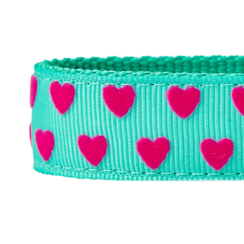 Blueberry Pet Valentine's Day Dog Leash, Velvety Soft-Touch Heart Flocking Lead for Small Dogs, Minty Green, 5 ft x 5/8" Flocking Print - Minty Green - PawsPlanet Australia