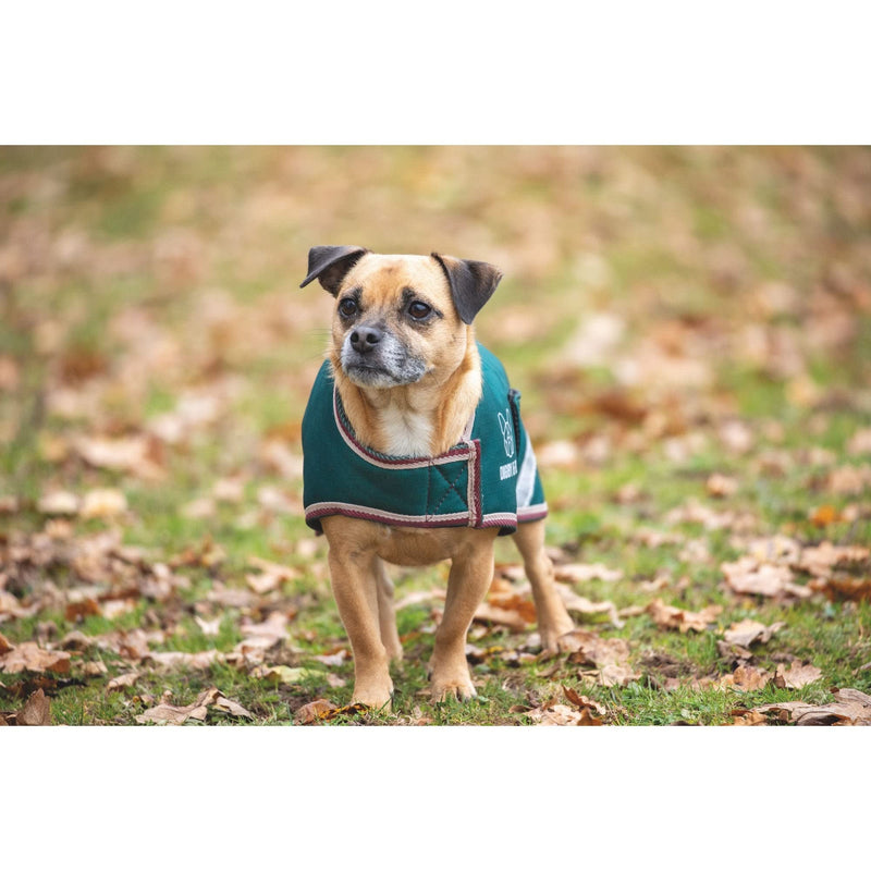 Shires Digby& Fox Waterproof Dog Coat (Forest, X-Small) Forest