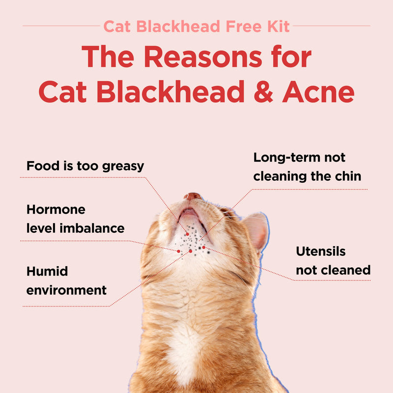 JAYU PET Cat Blackhead Free Kit – Black Seed Cleaner & Exfoliating Brush, Cat Chin Acne Treatment, Blackhead Remover, Hypoallergenic Safe Formula, Cat Grooming Kit for Clear & Healthy Skin - PawsPlanet Australia