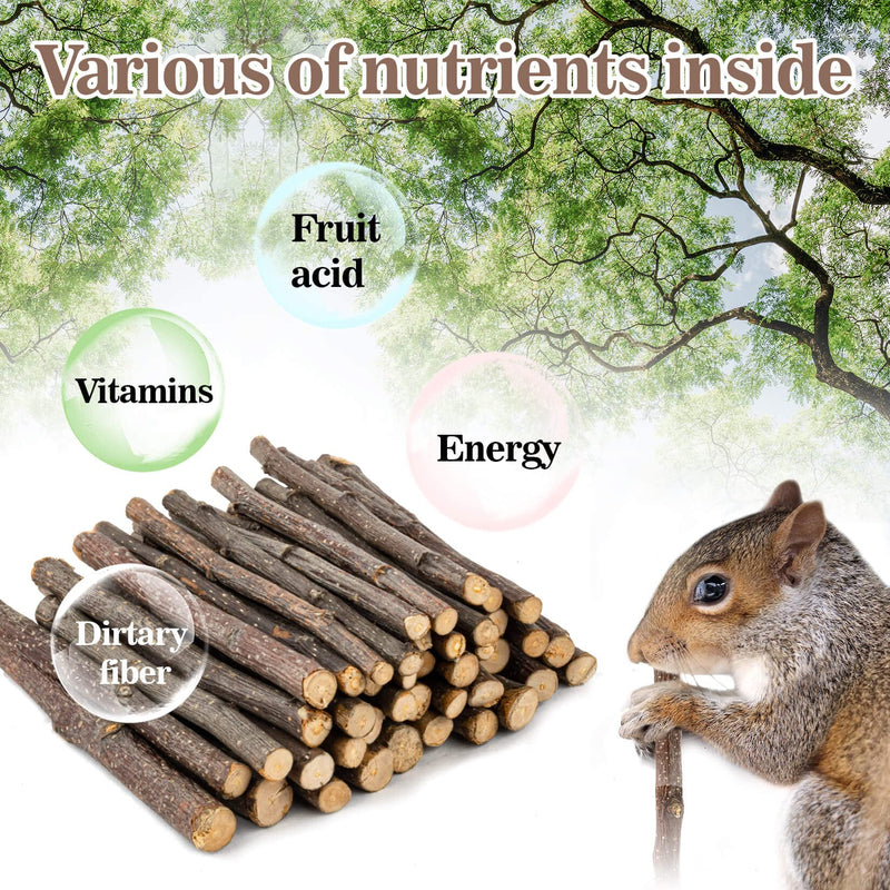 Sukh Natural Organic Apple Sticks - 250g Hamster Chew Toys Hams Rabbit Bunny Gerbil Guinea Pig Squirrel Chinchilla Animal Chew Toys Chew Sticks