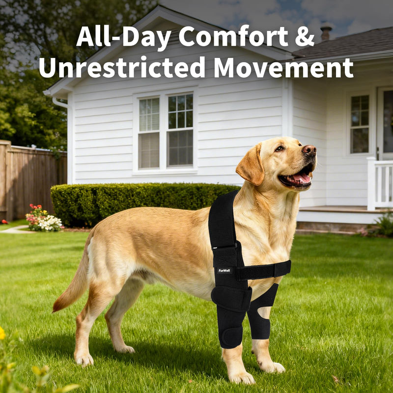 Dog Elbow Brace Protector with Decoupled Chest Strap - Breathable, Abrasion-Resistant - Adjustable Elbow Support for Hygroma, Dysplasia, Arthritis, Calluses & Shoulder Instabilit(Both Legs, M) M - Both Legs Black