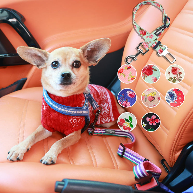 Blueberry Pet 8 Patterns Cherry Garden Grey Adjustable Dog Seat Belt Tether for Dogs Cats, Durable Safety Car Vehicle Seatbelts Leads Use with Harness 16.5-25.5 Inch (Pack of 1) - PawsPlanet Australia