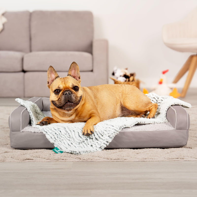 Furhaven Waterproof Dog Blanket – Birch Faux Fur & Suede Calming Throw for Pets, Washable – Gray, XL - PawsPlanet Australia