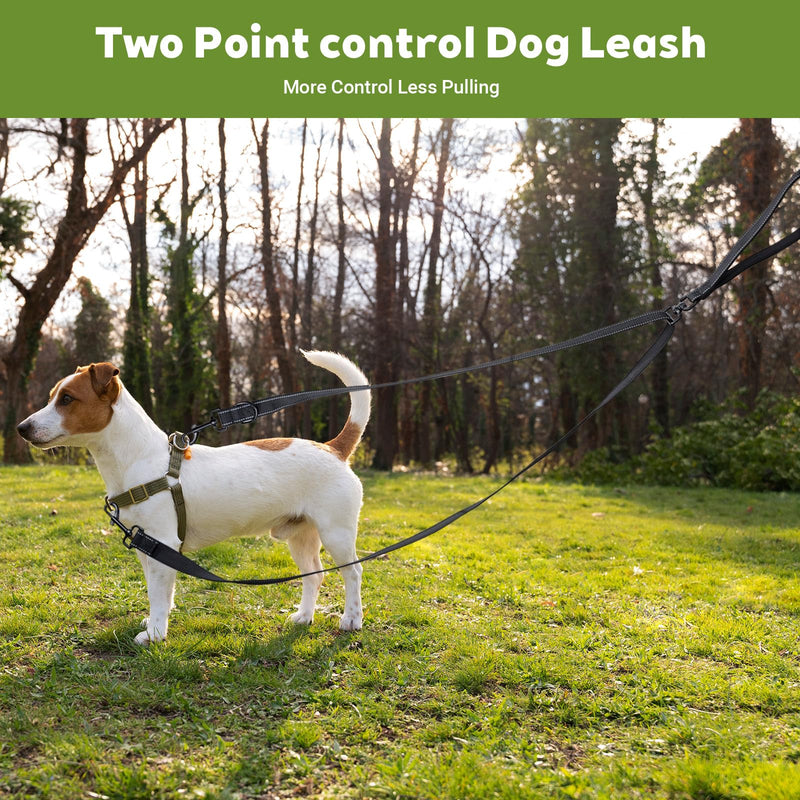 Two Point Control Dog Leash Soft Padded and Reflective Nylon Walking Lead No Tangle Training Leashes Converts to Single Lead Works with No Pull Harnesses for Medium Large Dogs (Black) - PawsPlanet Australia
