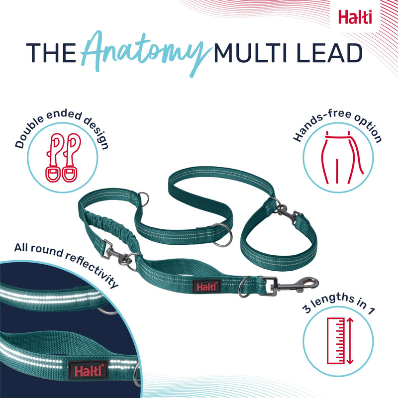HALTI Anatomy Multifunctional Dog Leash - Shock Absorbing Double-Ended Leash, Ideal for Dog Walking & Training. Comfortable to Hold, Reflective & Lightweight. Suitable for Puppies (Size Large, Teal) L