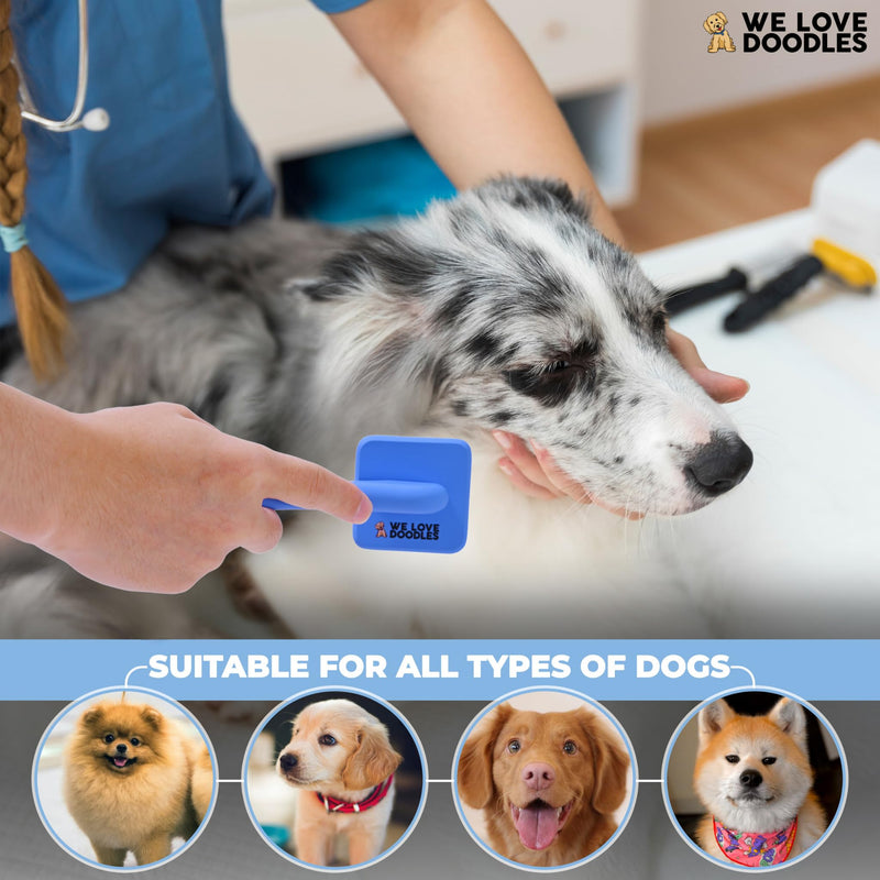 We Love Doodles Dog Slicker Brush for Grooming Pet Hair - Best Brushes For Poodle & Golden Doodle - Long Haired Brush For Dogs - Goldendoodle Long Pin Brush For Dematting (Extra Small) - PawsPlanet Australia