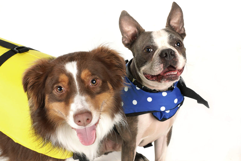 Seachoice Dog Life Vest, Adjustable Life Jacket for Dogs, w/Grab Handle, Yellow, Size XS, 7-15 Lbs. - PawsPlanet Australia