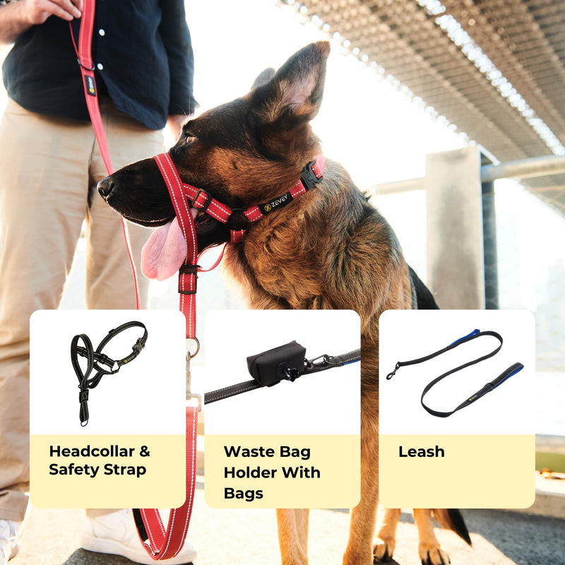 Dog Headcollar With Leash And Safety Strap Stops Heavy Pulling On The Leash Padded Reflective Head Halter For Small Medium Large Dogs Adjustable Head Harness For Training And Walking, (XL, Blue) XL - PawsPlanet Australia