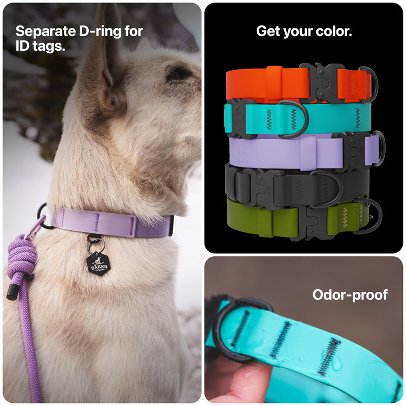 Säker Waterproof Dog Collar - Adjustable Lightweight Dog Collars for Medium Dogs - 1 Inch Durable Medium Dog Collar with Aluminum D-Ring, Daisy Chain and Quick-Release Buckle | Purple Dog Collar M Lilas - PawsPlanet Australia