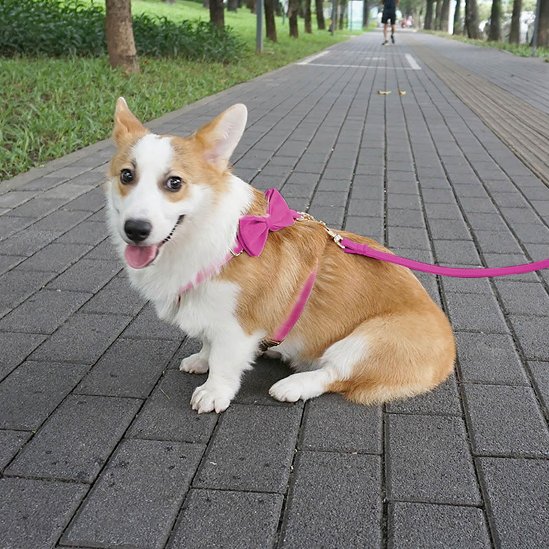 Large Big Dog Harness Set,Lightweight Dog Wedding Harness and Leash with Bow,Soft Unique 4-5 FT Leash for Female Dogs L - PawsPlanet Australia
