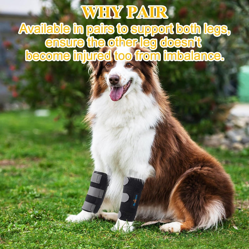 (L/XL) Dog Front Leg Brace, Pair of Dog Leg Brace with Metal Strips, Canine Front Leg Hock Wrap Sleeve for Carpal Support, Protects Wounds Brace Heals and Prevents Injuries and Sprains (L/XL)