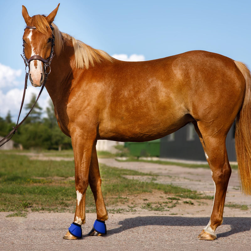 GEOSO Bell Boots for Horses,Ballistic Overreach Horse Boots | Superb Protection, Durability&Comfort,360 Degree Wrap Medium Blue