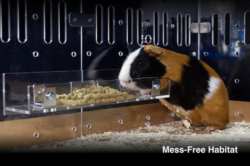 GuineaLoft™ Food Feeder - Say Goodbye to Traditional Bowls! The Ultimate Feeder for Small Pets like Guinea Pigs, Rabbits and Chinchillas. Designed & Made by Seasoned Owners - Guinea Loft Exclusive - PawsPlanet Australia