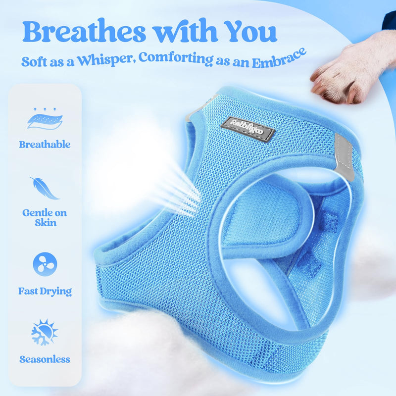 rabbitgoo Dog Harness Small Sized and Leash Set, Step in Soft Light Puppy Vest, Breathable Mesh Pet Harness, Reflective for Safe Easy Walking, Blue S S (Chest: 15.1 - 16.5") - PawsPlanet Australia