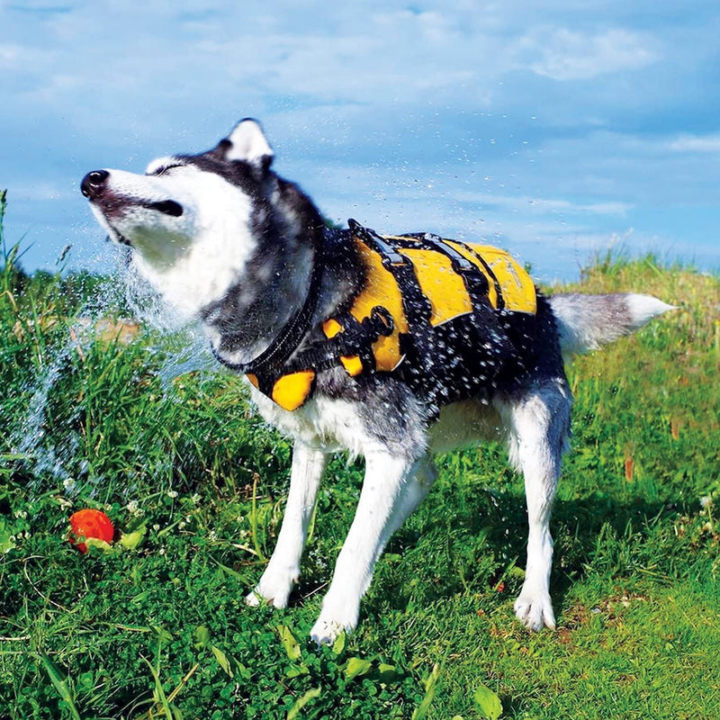 EzyDog Premium Doggy Flotation Device (DFD) - Adjustable Dog Life Jacket Preserver with Reflective Trim - Durable Grab Handle for Safety and Protection - 50% More Flotation Material (Medium, Red) 1 Medium - PawsPlanet Australia
