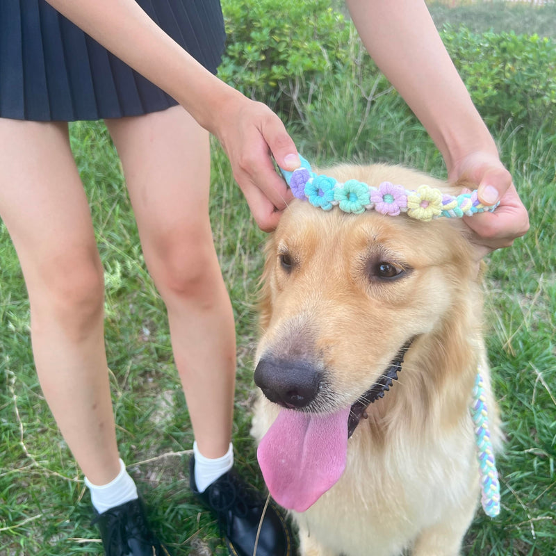Handmade 5ft Braided Cotton Dog Leash with Unique Floral Handle, Durable and Stylish, Ideal for Small to Large Dogs, Rainbow Color - PawsPlanet Australia