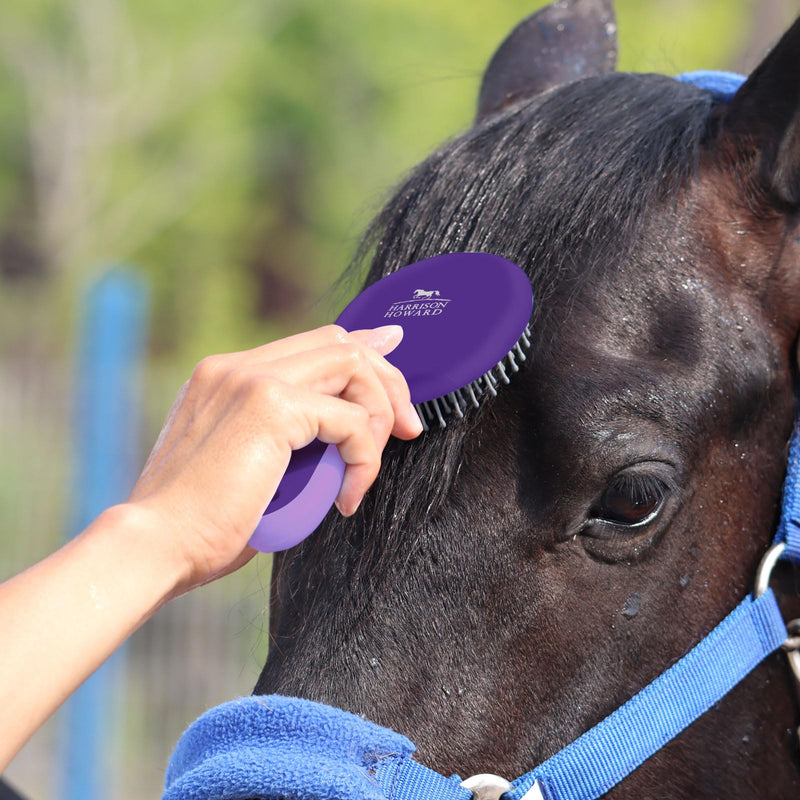 Harrison Howard Horse Mane and Tail Brush - Professional Grooming Brush, Equestrian Detangler, Non-Slip, Purple - PawsPlanet Australia