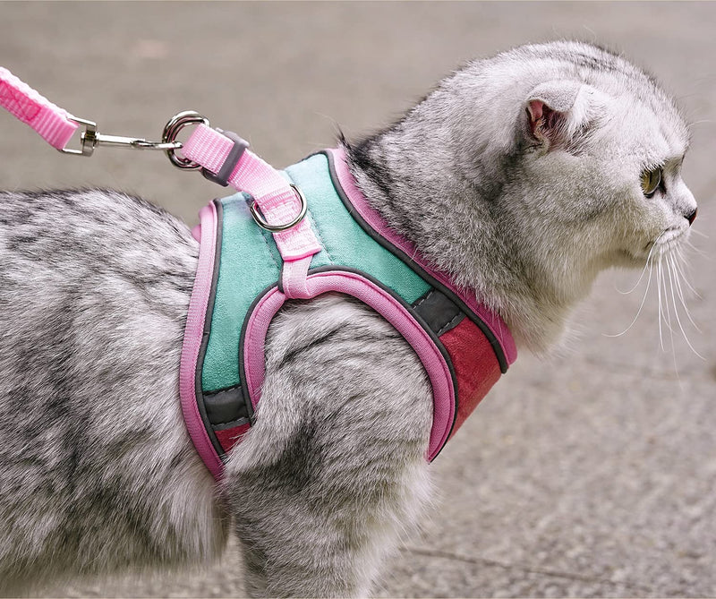 Cat Harness,Leash and Collar Set,Escape Proof Kitten Vest Harness for Walking,Easy Control Night Safe Pet Harness with Reflective Strap and Bell for Small Large Kitten,Fit for Puppy,Rabbit Medium (Pack of 1) Pink/Blue