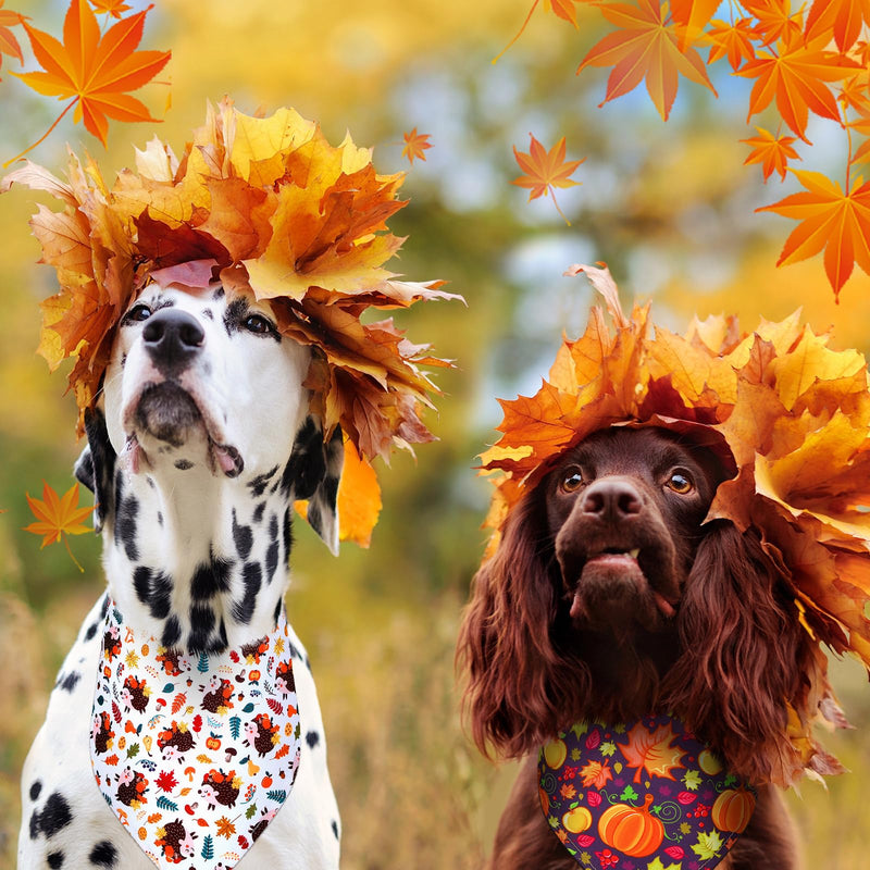 Sadnyy 40 Pcs Fall Dog Bandanas Bulk for Dogs Autumn Pumpkin Maple Leaves Triangle Bibs Reversible Thanksgiving Dog Bandana Adjustable Pet Kerchief Scarf Washable Cat Scarf for Holiday Pets(XL) XL - PawsPlanet Australia