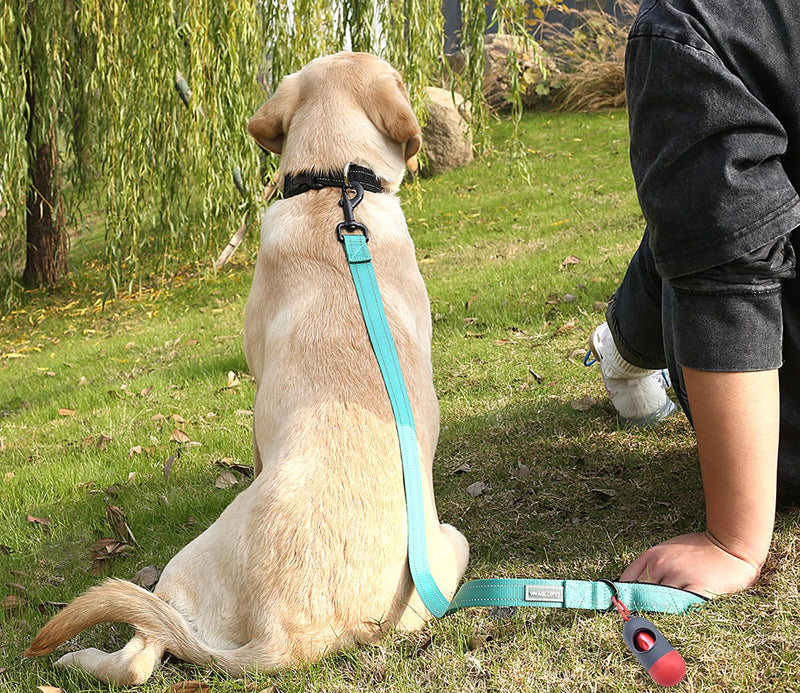 VIVAGLORY Dog Leash Dailyx Pet Leash with Soft Padded Handle for Training & Walking, Heavy Duty & Double Layer Nylon for Pet Puppy, 4ft x 1in, Green Leash (4 ft. x 1 in.) - PawsPlanet Australia
