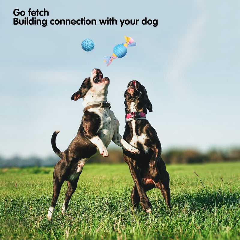 Squeaky Dog Toys for Puppy Small Medium Dogs 18 Units Stuffed Toys with Rubber Toys in Bulk Plush Dog Toy Safe Fetch Chew Toys Pack for Chewing and Teething.… 18 PCS - PawsPlanet Australia