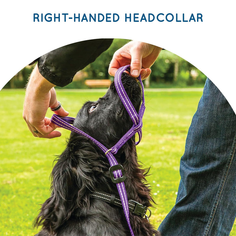 Extra-Wide Anti Pull Dog Headcollar - Trainer Approved - Soft & Gentle Control - Practical Dog Training & Behaviour Aid - Right Hand - UK Made - Doesn't Include Lead - Red Large | X-Wide - PawsPlanet Australia