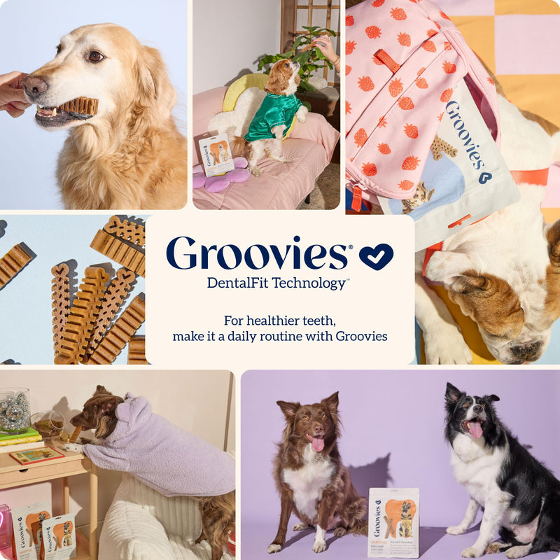 Groovies Gentle & Flexible Senior Dog Dental Chews, Contact-Cleaning Design Supporting Tartar Control & Fresh Breath, Oral Care Treats, USA Manufactured, Patented DentalFit Tech, Small Dogs, 43 Chews Small(5-15 lbs) 12 Ounce - PawsPlanet Australia