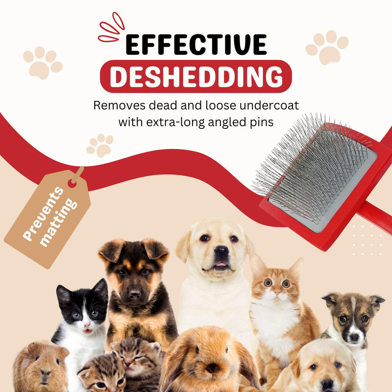Professional Slicker Brush for Dogs & Cats – Grooming Tool for Detangling, Deshedding & Fluffing – Ideal for Poodles, Goldendoodles, Doodles – Gentle & Effective Pet Brush - (Red) Red - PawsPlanet Australia