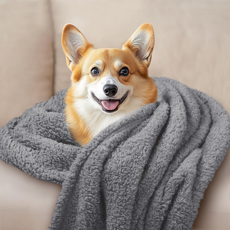 Luciphia 1 Pack 3 Calming Dog Blanket Fluffy Premium Fleece Pet Blankets Soft Sherpa Throw for Dogs Puppy Cat Grey/Beige/HazeBlue Large (41" x31") Large (Pack of 3) - PawsPlanet Australia
