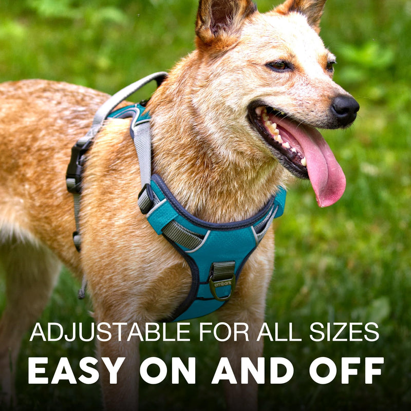 Embark Adventure XL Dog Harness – No-Pull, Reflective Trim, Military-Grade Nylon, 2 Leash Clips with Gel-Lined Handle, Soft & Padded Blue - PawsPlanet Australia