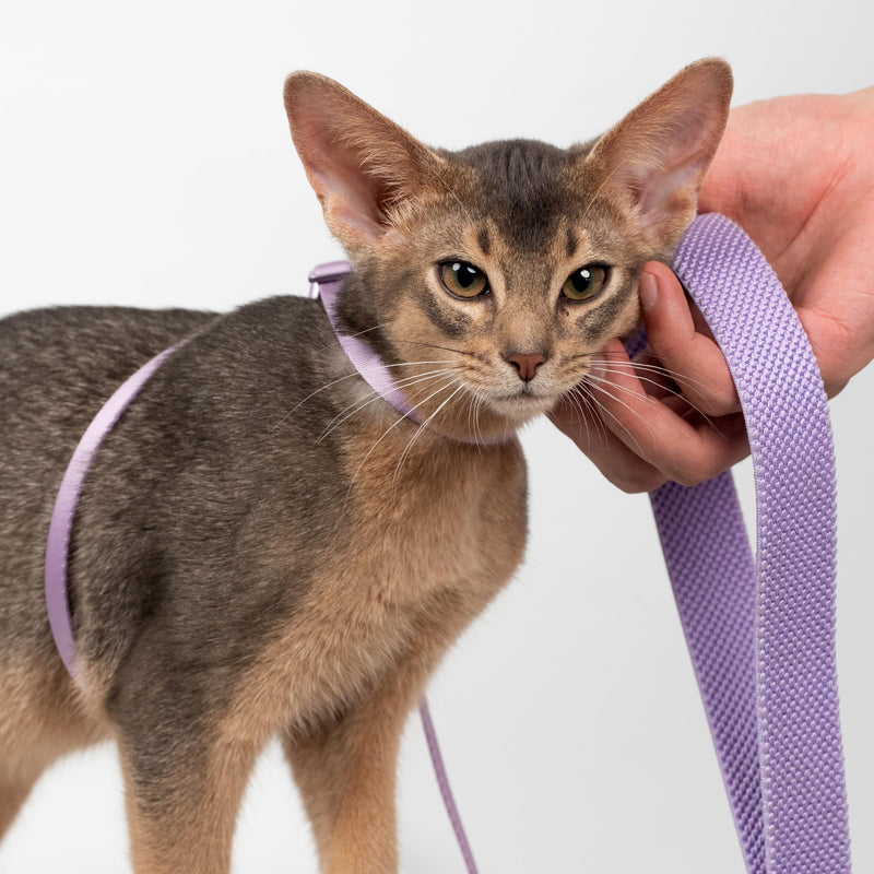Cat Harness and Leash 2-in-1, Escape Proof Anti-Chocking Harness Adjustable Lighweight Leash for Walking Outoor Training for Kitten Small Large Cats Puppy, US IDA Bronze Award (Sierra Blue) Sierra Blue - PawsPlanet Australia