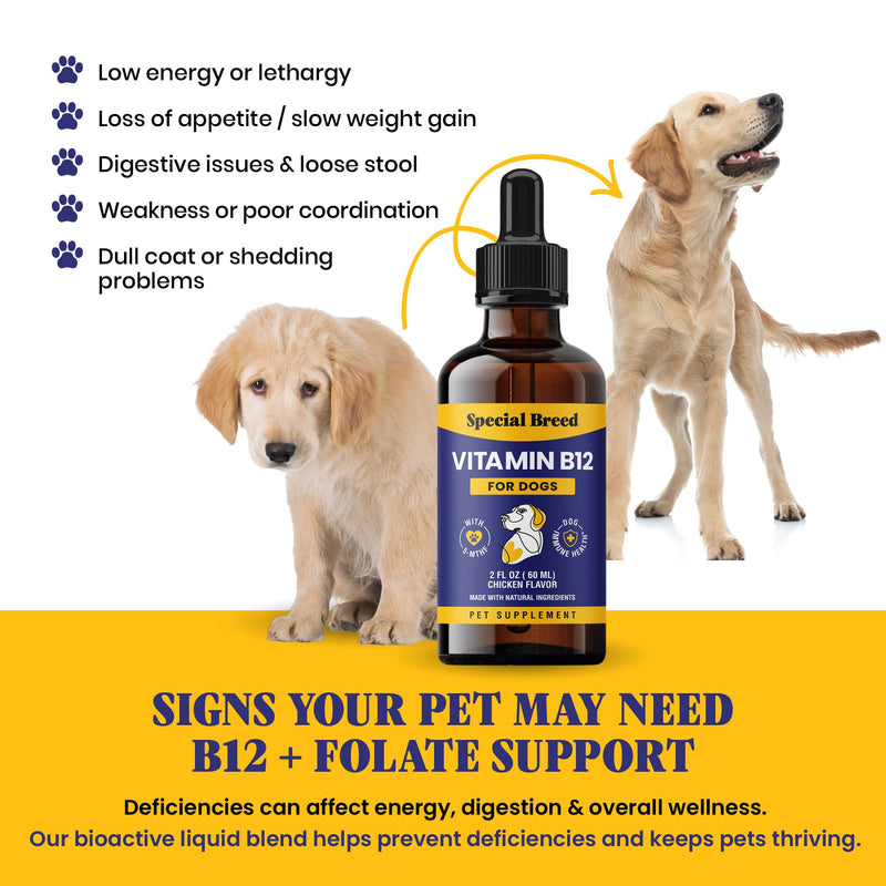 Special Breed Liquid Vitamin B12 for Dogs – Methylcobalamin and 5-MTHF – Boosts Energy, Appetite, Mood & Immune System Support, Easy-to-Use Dropper - Chicken Flavor, 2 fl oz - PawsPlanet Australia