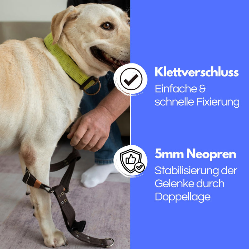 TSM Dog Bandage Front Leg Rehabilitation Bandage without Splint Stabilisation for Osteoarthritis and Injuries Can be Worn on Both Sides Made in Germany Item No. 7520 Size S