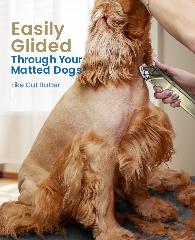 oneisall Dog Clippers for Grooming for Thick Heavy Coats/Low Noise Rechargeable Cordless Pet Shaver with Stainless Steel Blade/Waterproof Dog Shaver for Dogs Pets and Animals (Gold) Gold - PawsPlanet Australia