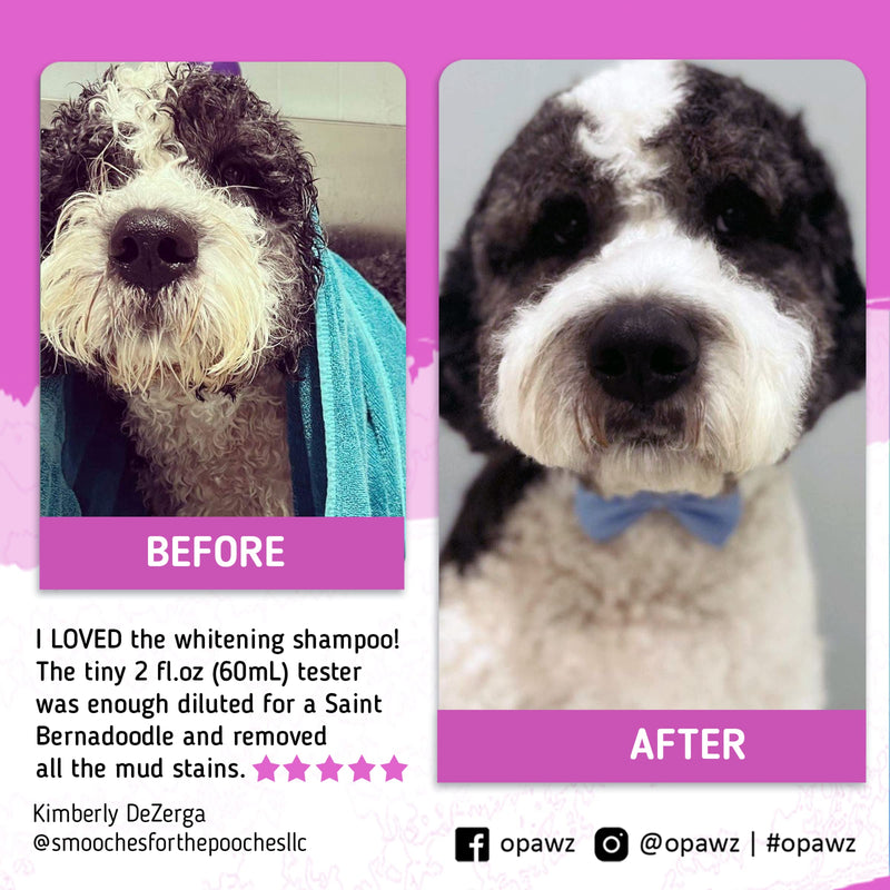 OPAWZ 05 Whitening Purple Shampoo for Dog and Cat, Safely Remove Yellow Stains, with No Bleach, Peroxide and Sulfate, Professional Groomers Recommended Product, 16.9 oz - PawsPlanet Australia