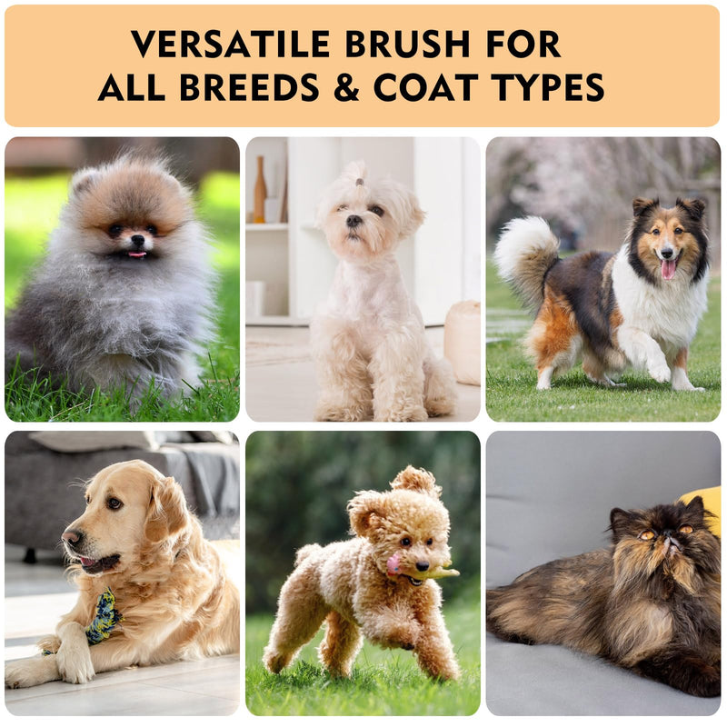 Dog Slicker Brush for Shedding & Grooming - Professional Dog Brush and Cat Brush with Coated Tips & Air-Cushion Design, Deshedding Tool Removes Undercoat Tangles & Loose Fur for Long/Short Hair Pets - PawsPlanet Australia