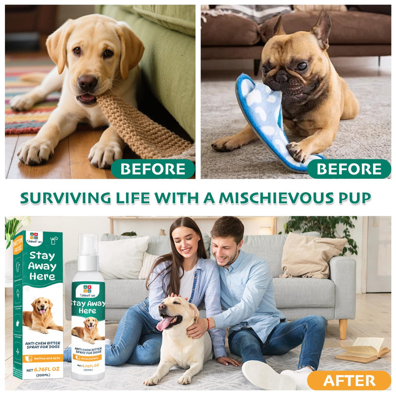 Bitter Apple Spray for Dogs,100% All-Natural,200ml,No Chew Dog Deterrent Spray with Citrus & Eucalyptus Oil, Anti Chew Training Aid to Stop Chewing & Protect Furniture - PawsPlanet Australia